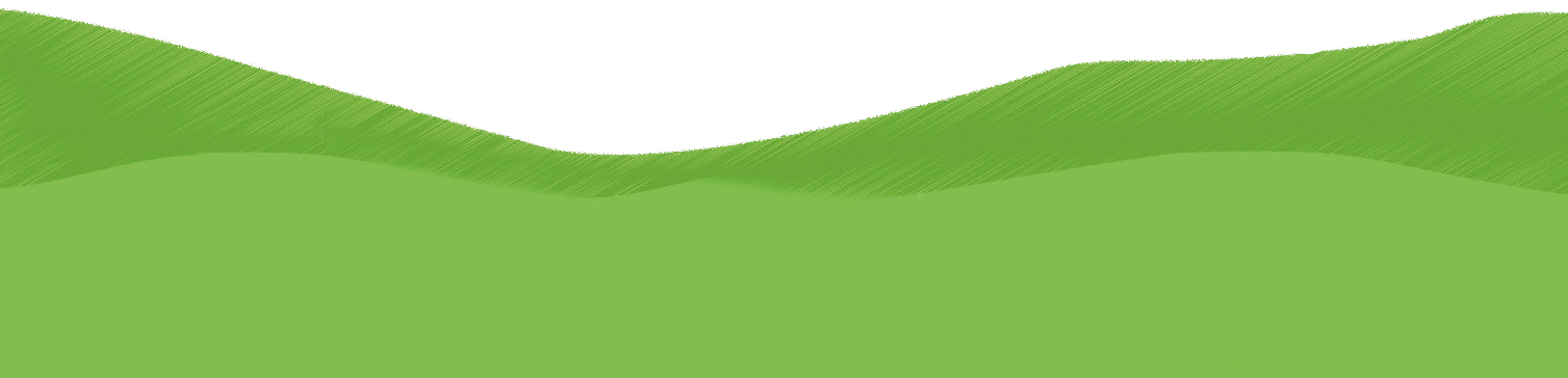 Stockhorn Gras